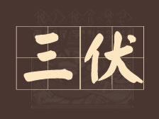 蝉鸣渐浓，三伏天携热浪而来